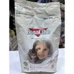 Bonacebo Kitten 1.5k